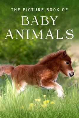 The Picture Book of Baby Animals: A Gift Book for Alzheimer's Patients and Seniors with Dementia By Sunny Street Books Cover Image
