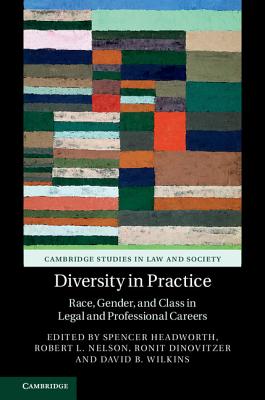Diversity in Practice: Race, Gender, and Class in Legal and Professional Careers (Cambridge Studies in Law and Society) Cover Image