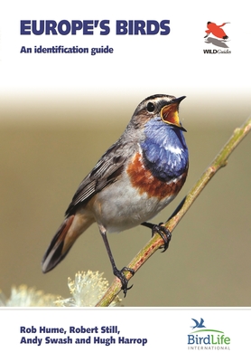 Birdwatch: the robin is one of our most familiar birds – yet it