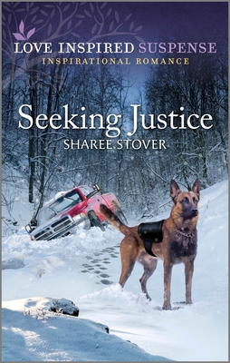 Seeking Justice Cover Image