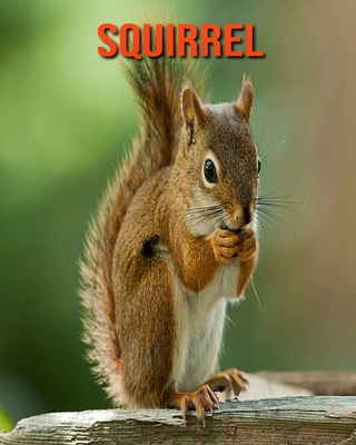 Squirrel: Amazing Facts about Squirrel Cover Image