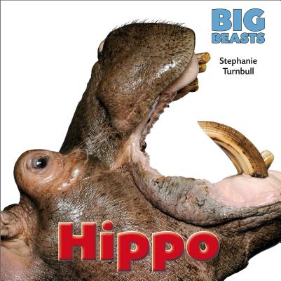 Hippo (Big Beasts) Cover Image