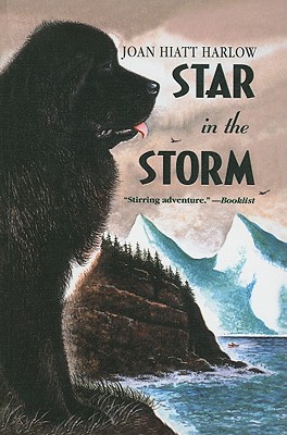 Star in the Storm Cover Image