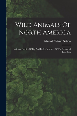 Wild Animals Of North America: Intimate Studies Of Big And Little Creatures Of The Mammal Kingdom By Edward William Nelson Cover Image