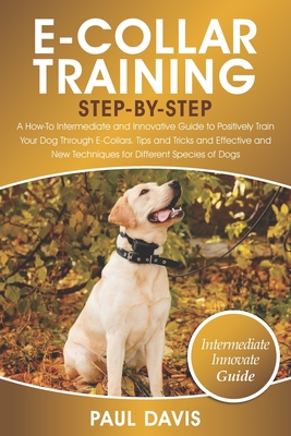 how to e collar train your dog