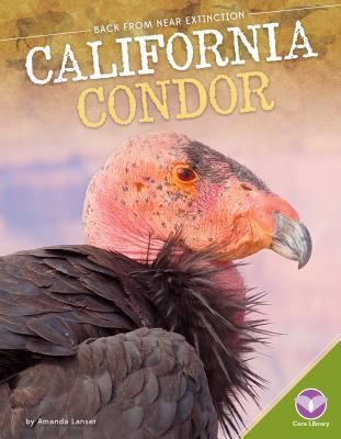 California Condor (Back from Near Extinction) (Library