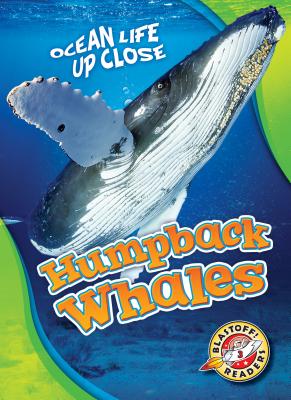 Humpback Whales (Ocean Life Up Close)