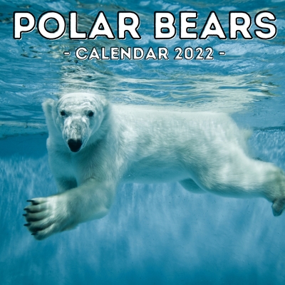 Polar Bears Calendar 2022: 16-Month Calendar, Cute Gift Idea For Bear Lovers Women & Men By Elated Potato Press Cover Image