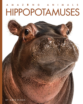 Hippopotamuses (Amazing Animals) By Kate Riggs Cover Image