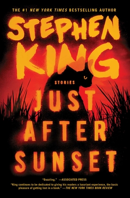 Just After Sunset: Stories Cover Image