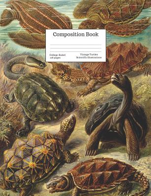 Composition Book College-Ruled Vintage Turtles Scientific Illustrations: Detailed Prehistoric Turtle Tortoise Retro Style (Back to School #27) Cover Image