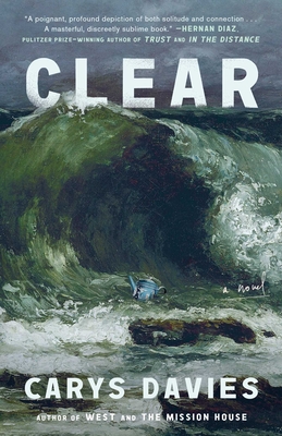 Cover Image for Clear: A Novel