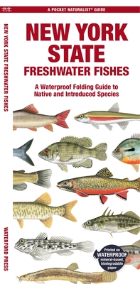 New York State Freshwater Fishes: A Waterproof Folding Guide to Native and Introduced Species (Pocket Naturalist Guides) Cover Image