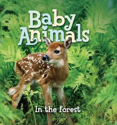 Baby Animals In the Forest | IndieBound.org