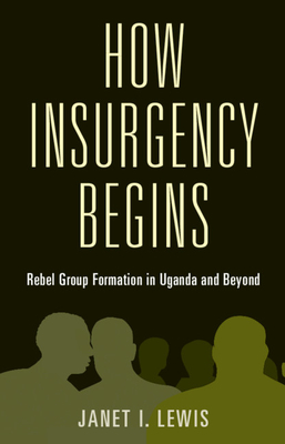 How Insurgency Begins (Cambridge Studies in Comparative Politics) By Janet I. Lewis Cover Image
