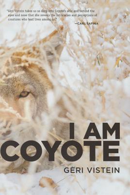 I Am Coyote By Geri Vistein Cover Image