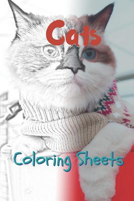 Cat Coloring Sheets: 30 Cat Drawings, Coloring Sheets Adults Relaxation, Coloring Book for Kids, for Girls, Volume 9 By Julian Smith Cover Image