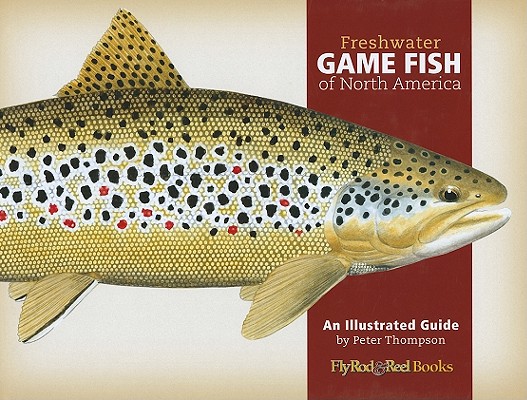 Freshwater Game Fish Of North America: An Illustrated Guide ...