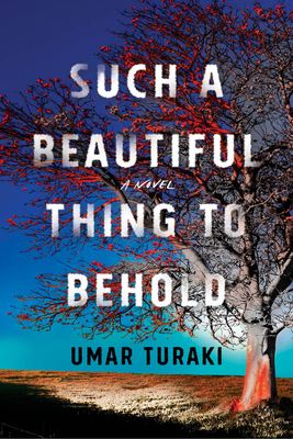 Such a Beautiful Thing to Behold By Umar Turaki Cover Image