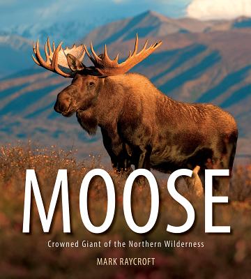 Moose: Crowned Giant of the Northern Wilderness By Mark Raycroft Cover Image