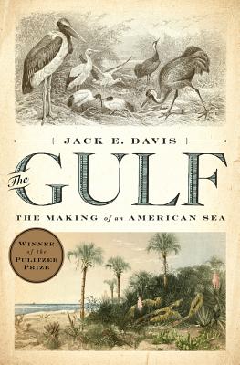 The Gulf: The Making of An American Sea By Jack E. Davis Cover Image