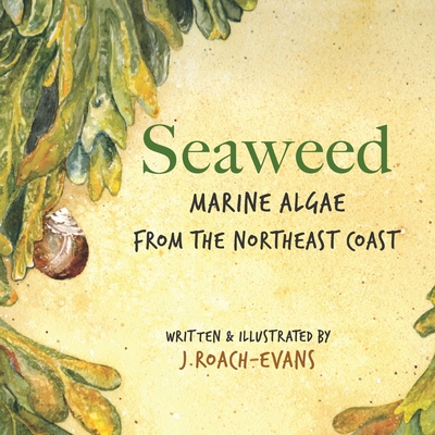 Seaweed: Marine Algae from the Northeast Coast By Erin M. Oliveira (Editor), J. Roach-Evans Cover Image
