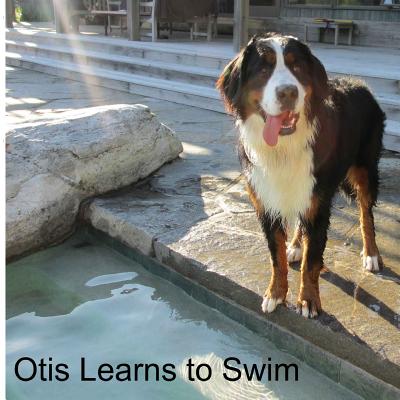 Otis Learns to Swim (Otis Books #2)