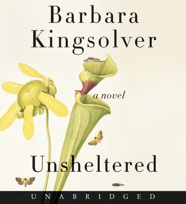Unsheltered CD: A Novel Cover Image