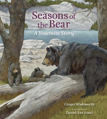 Seasons of the Bear: A Yosemite Story By Ginger Wadsworth, Daniel San Souci (Illustrator) Cover Image