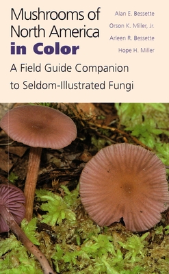 Mushrooms of North America in Color: A Field Guide Companion to Seldom-Illustrated Fungi Cover Image