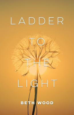 Ladder to the Light Cover Image