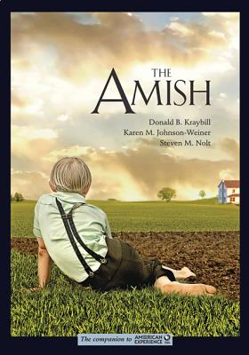 The Amish By Donald B. Kraybill, Karen M. Johnson-Weiner, Steven M. Nolt Cover Image