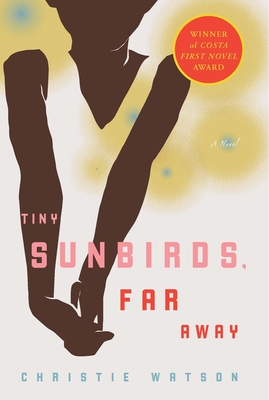 Cover for Tiny Sunbirds, Far Away: A Novel