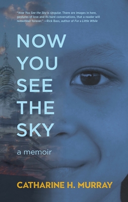 Cover for Now You See the Sky