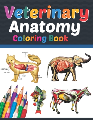 Veterinary Anatomy Coloring Book: Medical Anatomy Coloring Book for kids Boys and Girls. Zoology Coloring Book for kids. Stress Relieving, Relaxation Cover Image