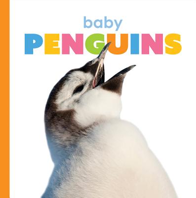 Baby Penguins (Starting Out)
