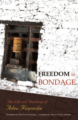 Freedom in Bondage Cover Image