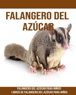 Falangero del azúcar: Falangero del azúcar para niños! Libros de Falangero del azúcar para niños Cover Image