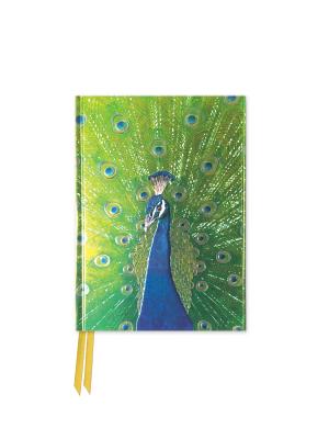 Peacock in Blue and Green (Foiled Pocket Journal) (Flame Tree Pocket Books #1)