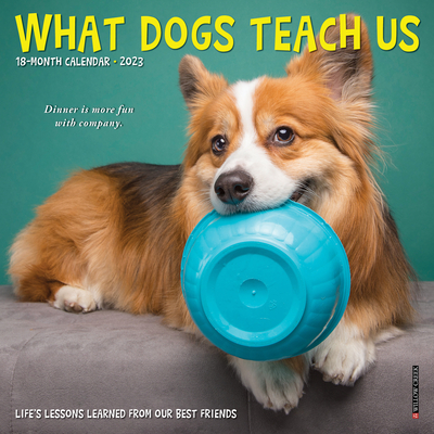 What Dogs Teach Us 2023 Mini Wall Calendar By Willow Creek Press Cover Image