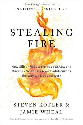 Cover for Stealing Fire