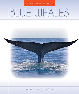 Blue Whales (Endangered Animals) Cover Image
