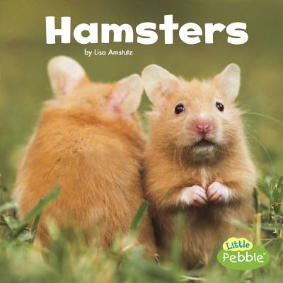 Hamsters (Our Pets) Cover Image