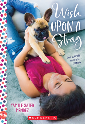 Wish Upon a Stray: A Wish Novel Cover Image