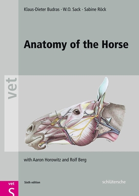 Anatomy of the Horse By Klaus-Dieter Budras, W.O. Sack, Sabine Röck Cover Image