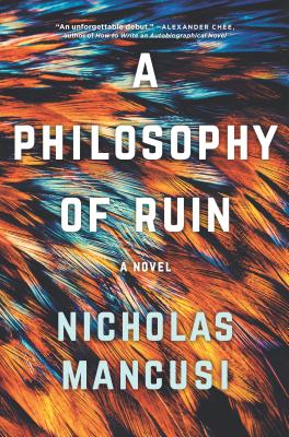 A Philosophy of Ruin Cover Image