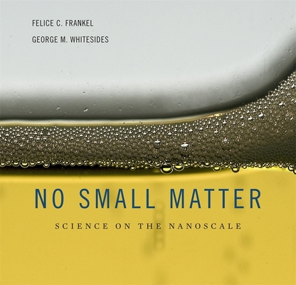 No Small Matter: Science on the Nanoscale Cover Image