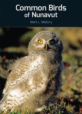 Common Birds of Nunavut (English) By Mark L. Mallory Cover Image