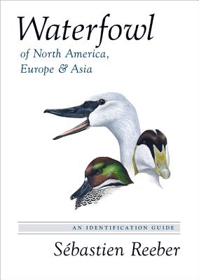 Waterfowl of North America, Europe, and Asia: An Identification Guide Cover Image