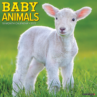 Baby Animals 2023 Wall Calendar By Willow Creek Press Cover Image